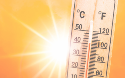 Heat Stress: The Workplace Hazard Employers Can’t Ignore